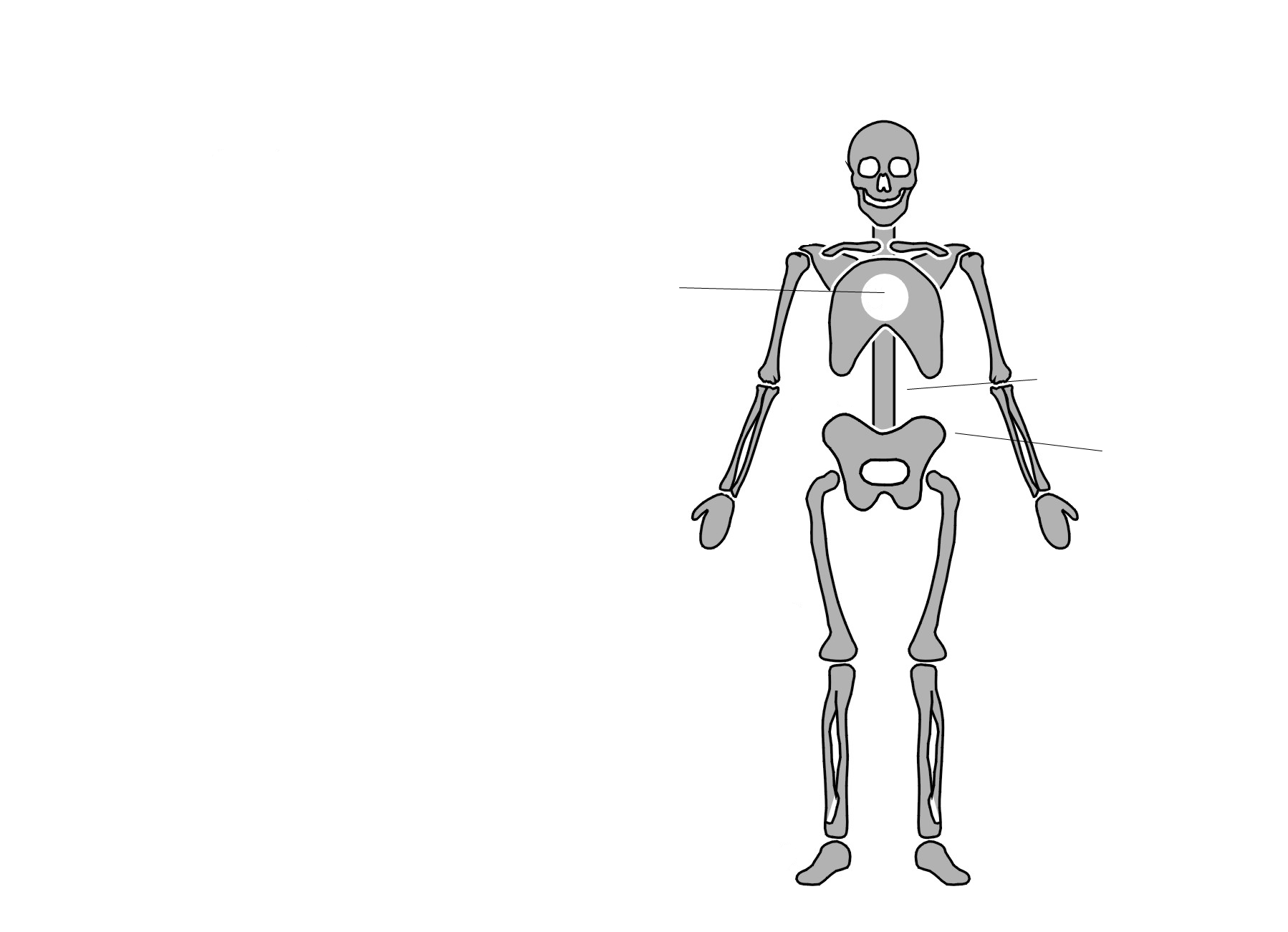 Fonkelnieuw TactileView - Thema FS-02