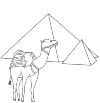 Camel and Pyramids