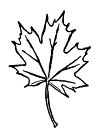 Sheet