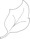 Sheet