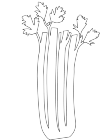 celery