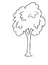 Foliage Tree
