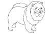 Chow Chow