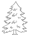 Christmas tree, lots of people have them in their homes at Christmas