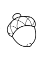 acorn