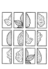 Een herfst puzzel. Knip de vierkantjes uit en plak de blaadjes weer goed aan elkaar.Er zijn 6 blaadjes in tweeen gesplitst.