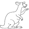 Kangaroo