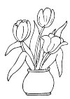 tulips in vase