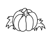 pumpkin leaves lying on two
