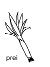 Leek