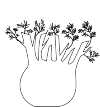 fennel root