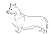 Welsh Corgi, Cardigan